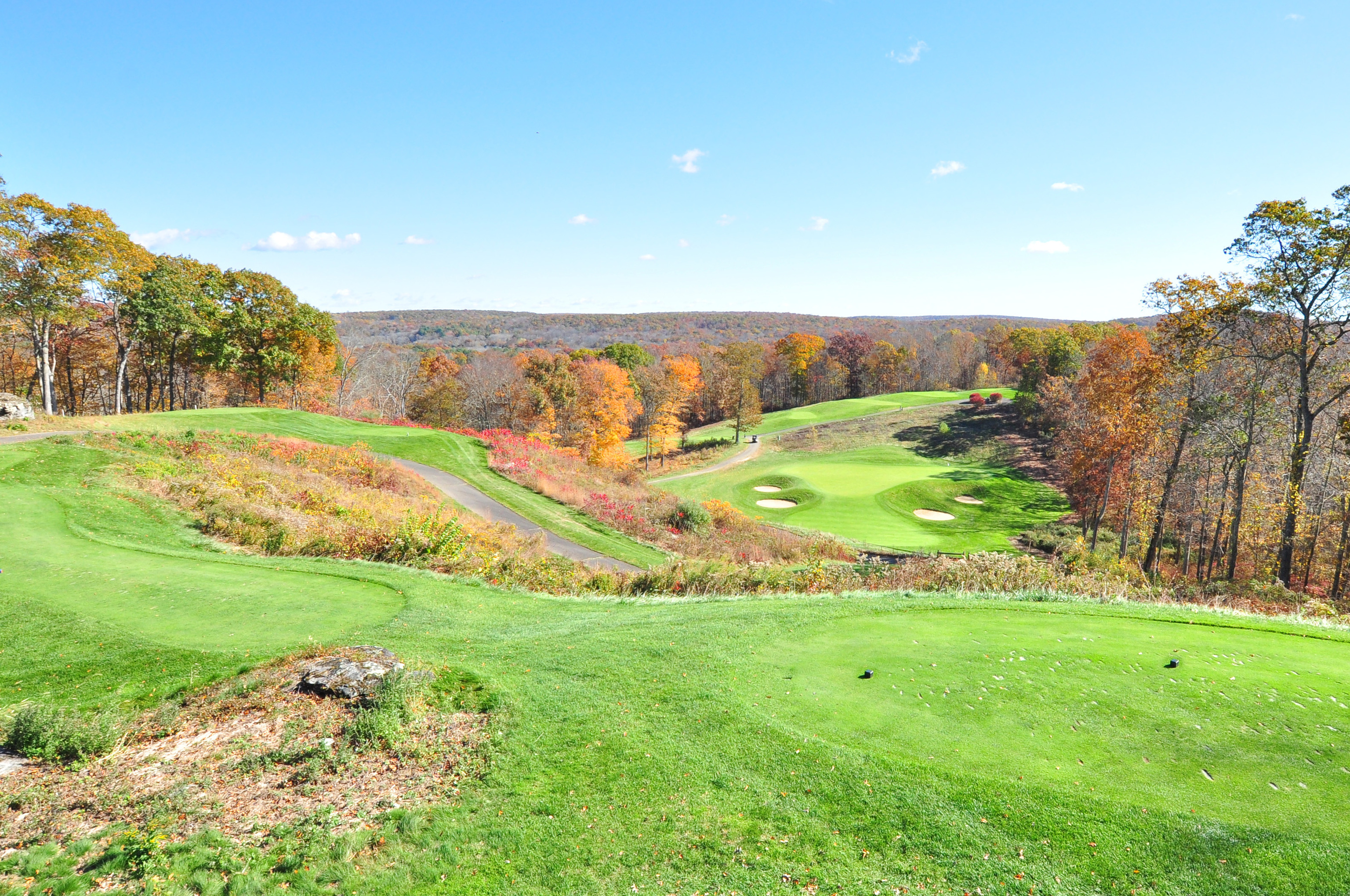 709 Fox Hopyard Road East Haddam, CT 06423 - Photo 6 of 32 a view of a field with an trees