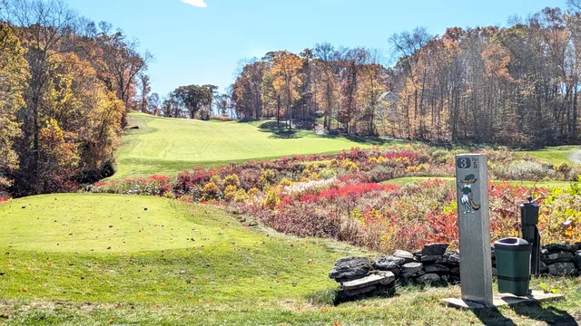a view of a garden with a building in the background
