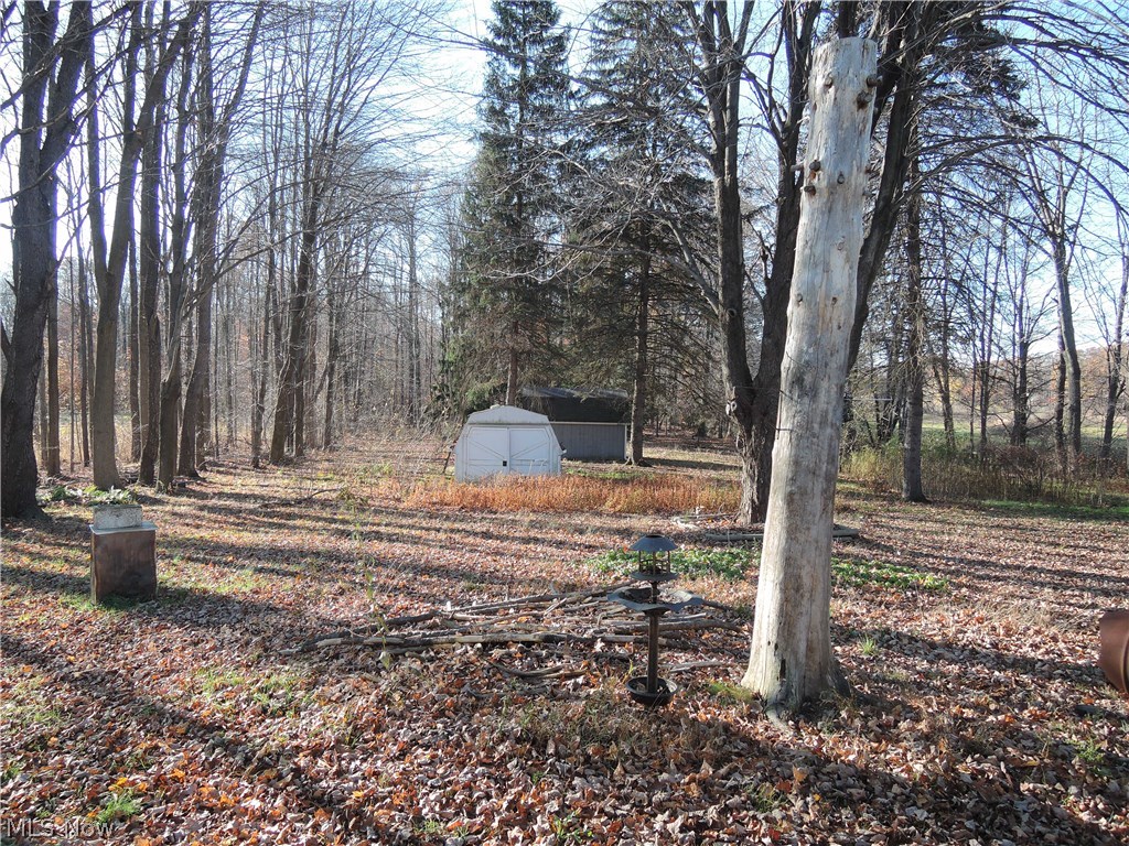17576 Messenger Road Chagrin Falls, OH 44023 - Photo 6 of 9 Level back yard for your enjoyment.