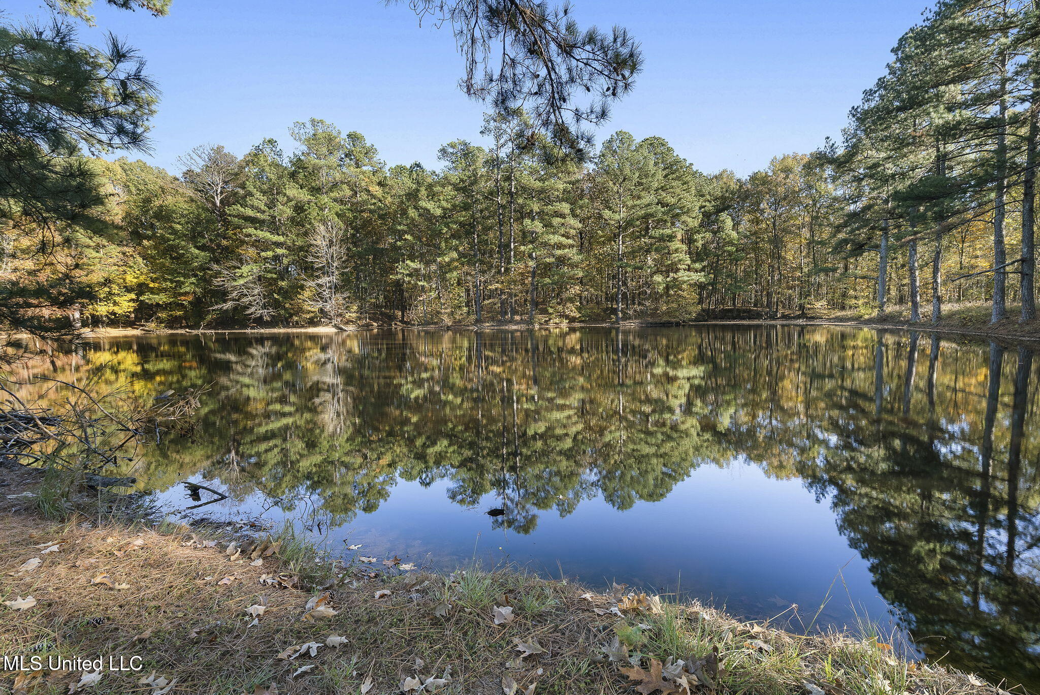 1766 Peyton Road Coldwater, MS 38618 - Photo 2 of 49 51-web-or-mls-1766 Peyton Rd-50