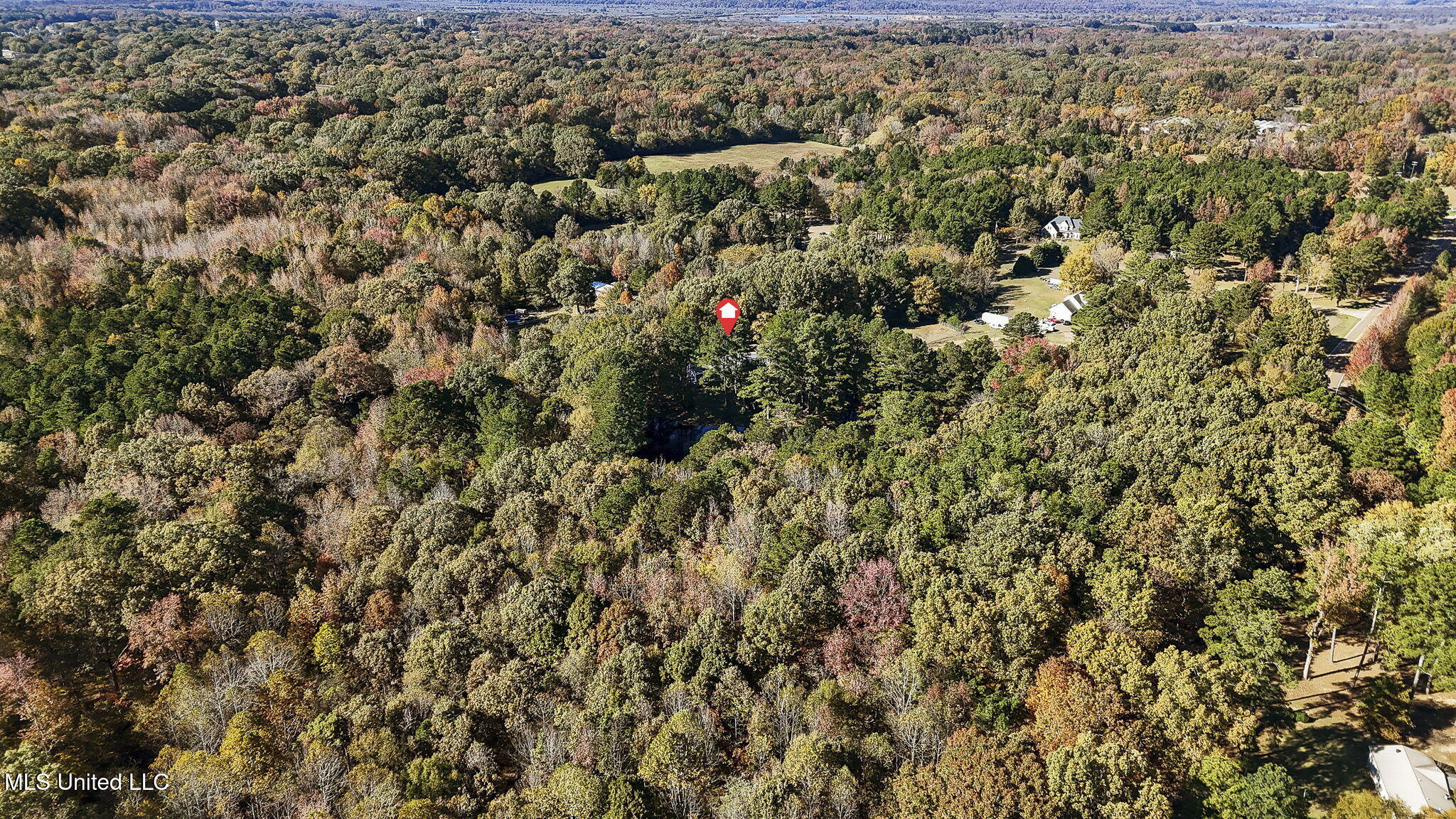 1766 Peyton Road Coldwater, MS 38618 - Photo 49 of 49 50-web-or-mls-1766 Peyton Rd-49
