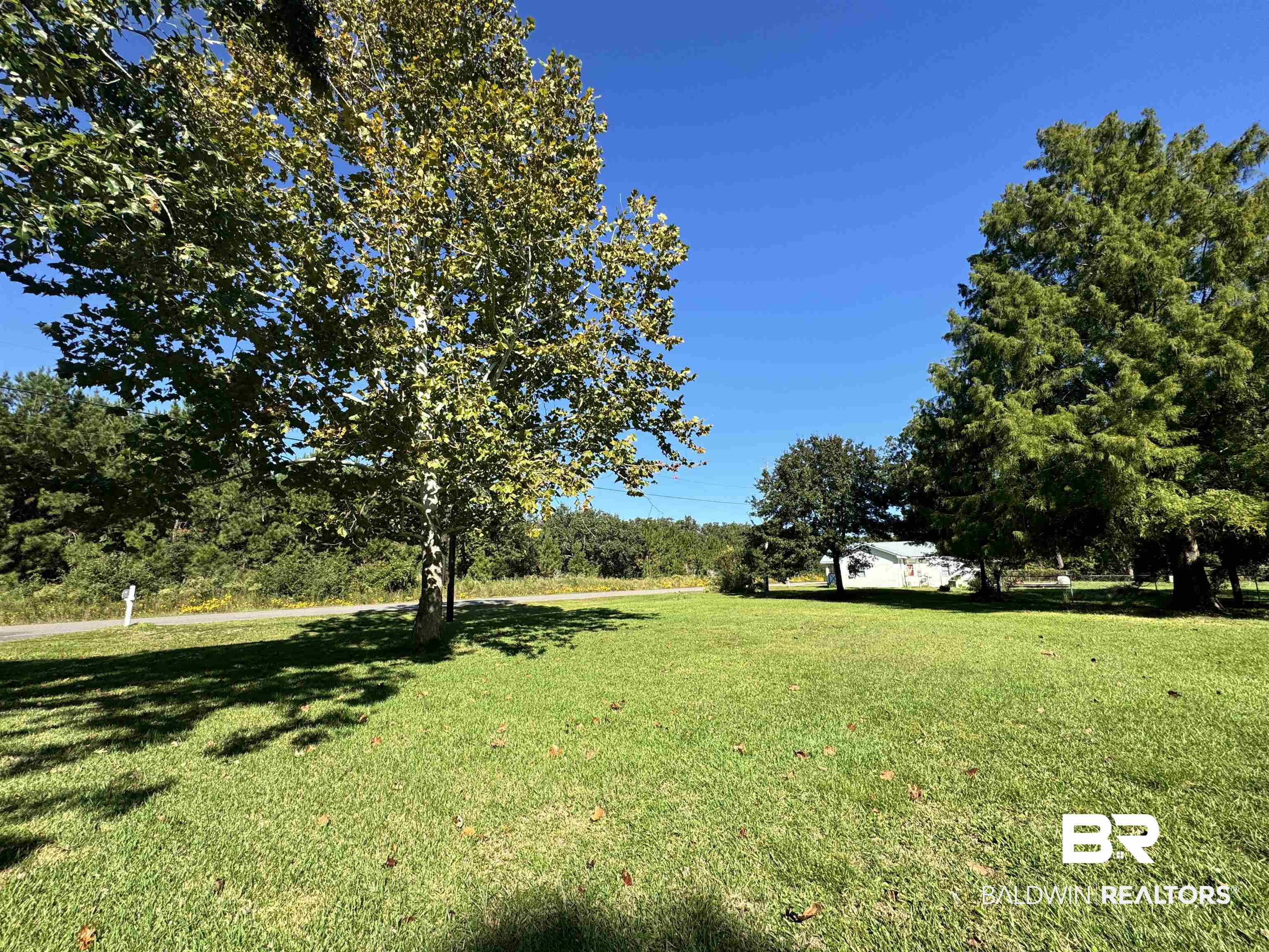14313 Hemley Road Coden, AL 36523 - Photo 34 of 44 View of yard