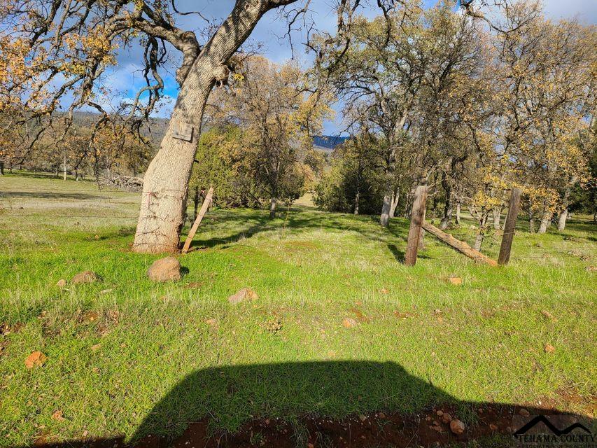 Battle Creek Bottom Road Manton, CA 96059 - Photo 2 of 27 Gallery Image 2