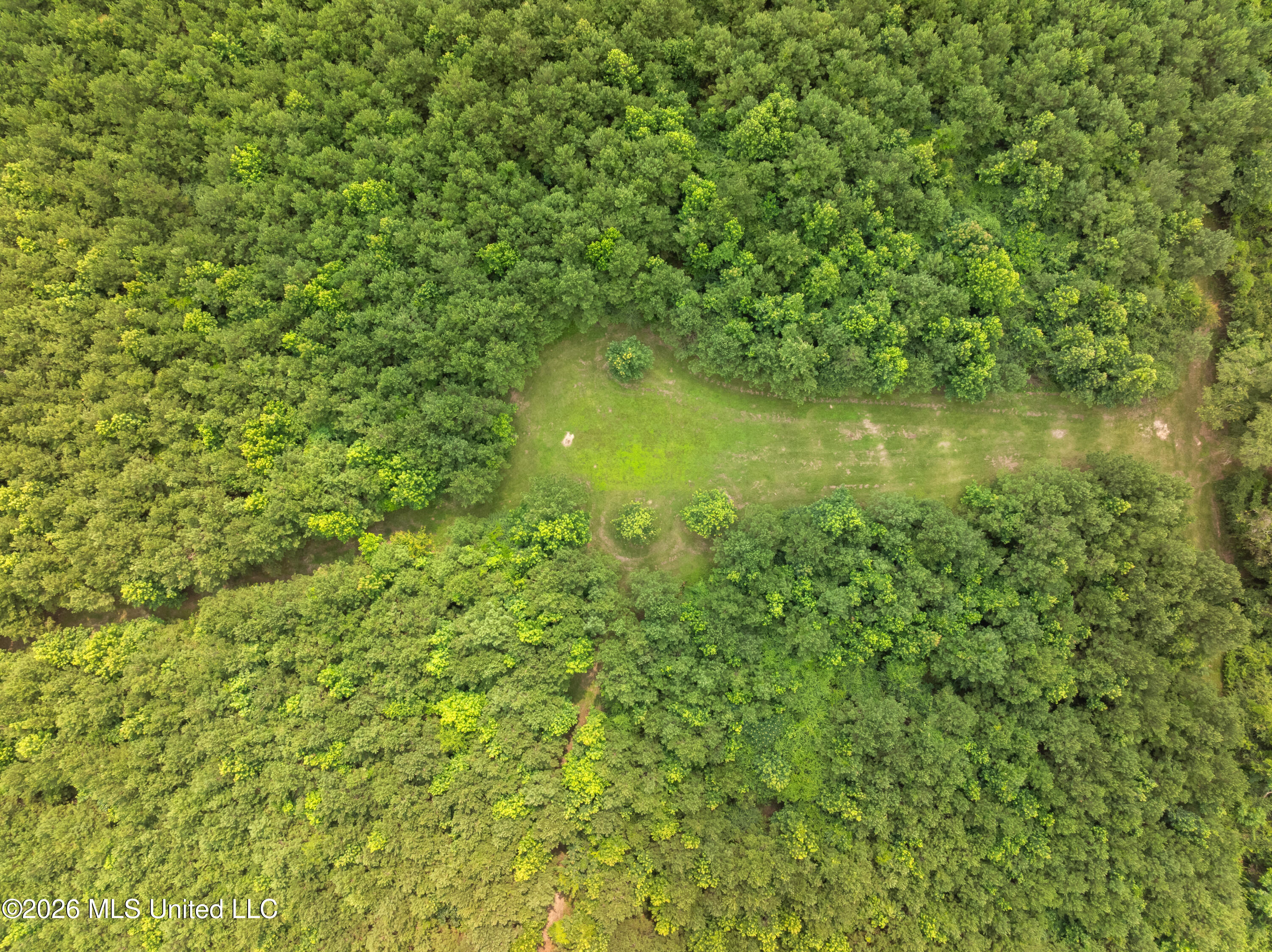 232 Knoxo Columbia Road Tylertown, MS 39667 - Photo 104 of 120 232_Knoxo_Columbia_Rd-103