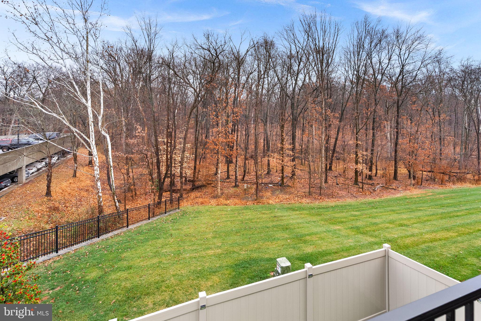5159 Ridgeview Retreat Drive Chantilly, VA 20151 - Photo 47 of 59 a view of a backyard with large trees