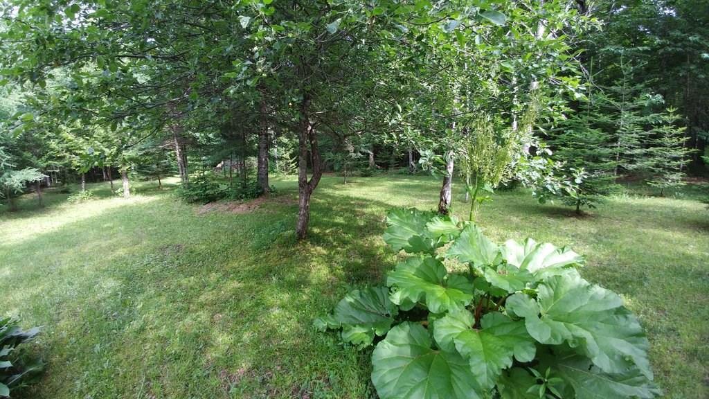 967 B Road Houlton, ME 04730 - Photo 32 of 34 Photo