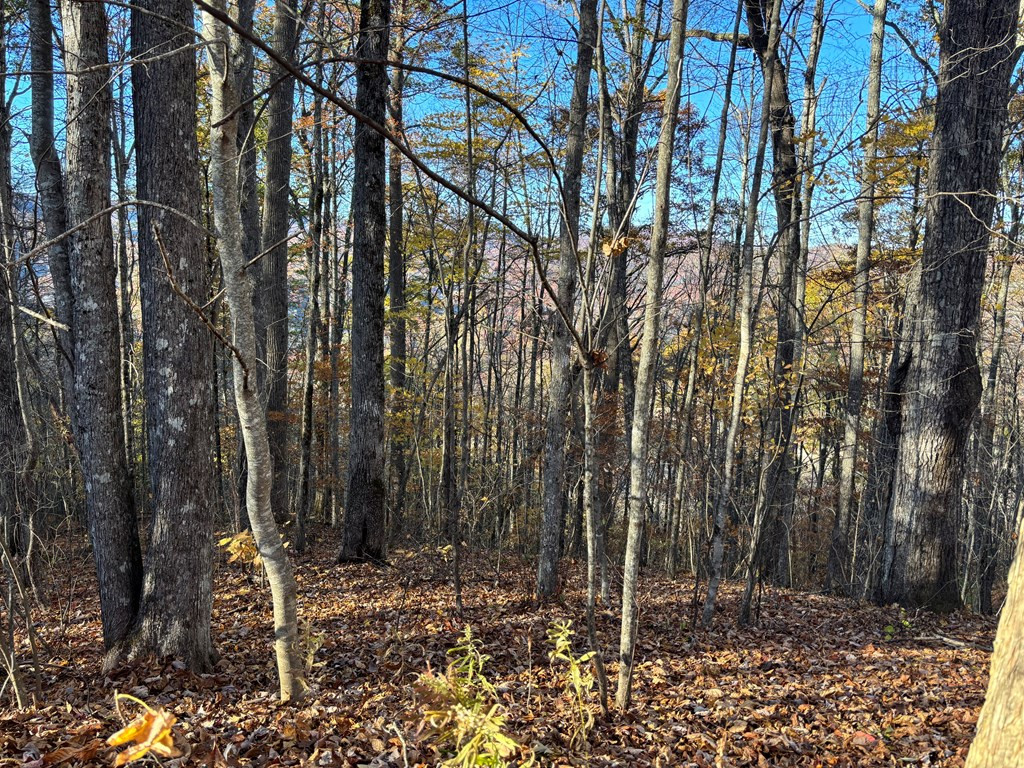 Lot#39 Falcon Stone Ridge Topton, NC 28781 - Photo 2 of 10
