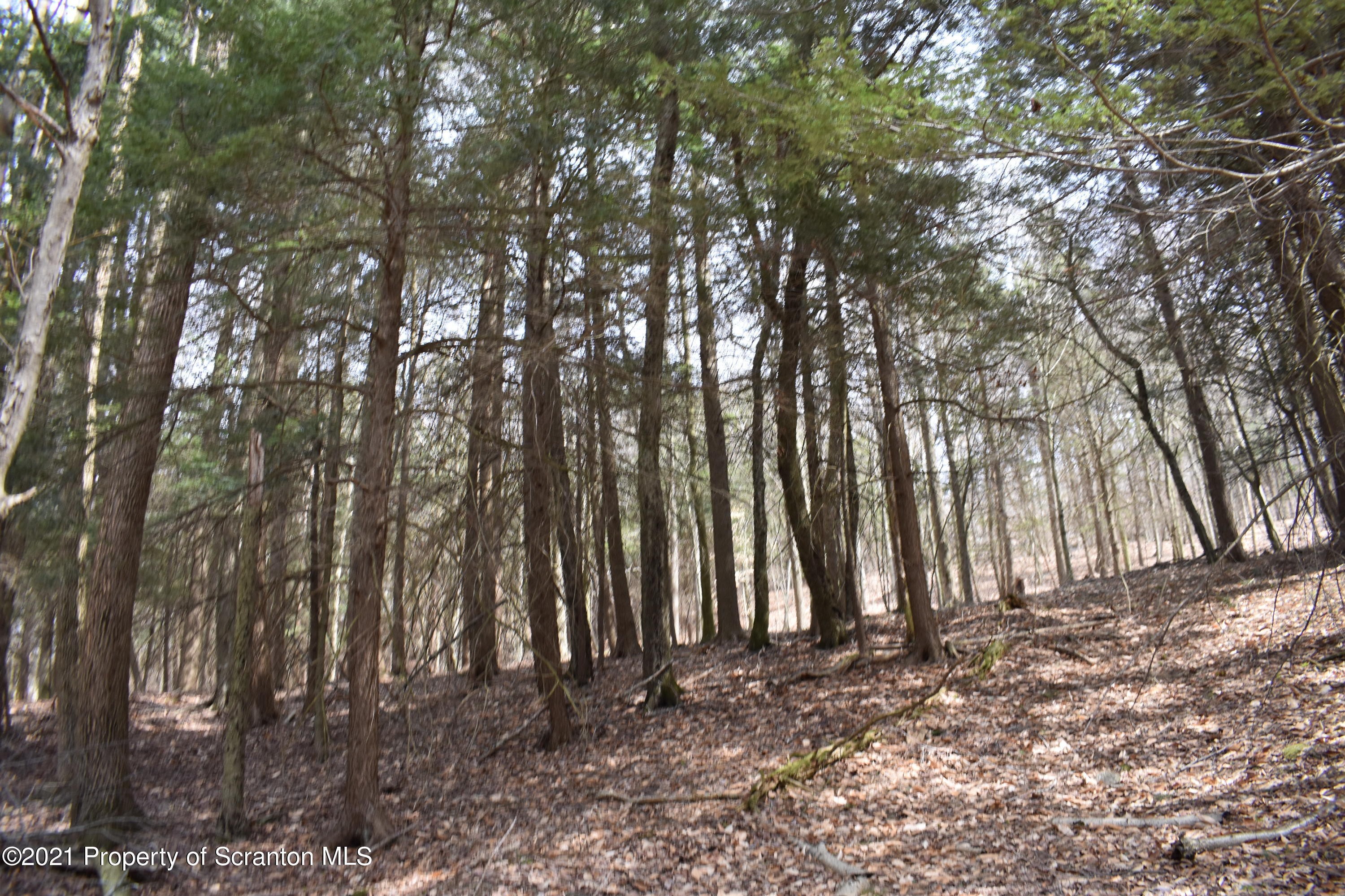 0 Olszewski Road Montrose, PA 18801 - Photo 21 of 25 DSC_0224
