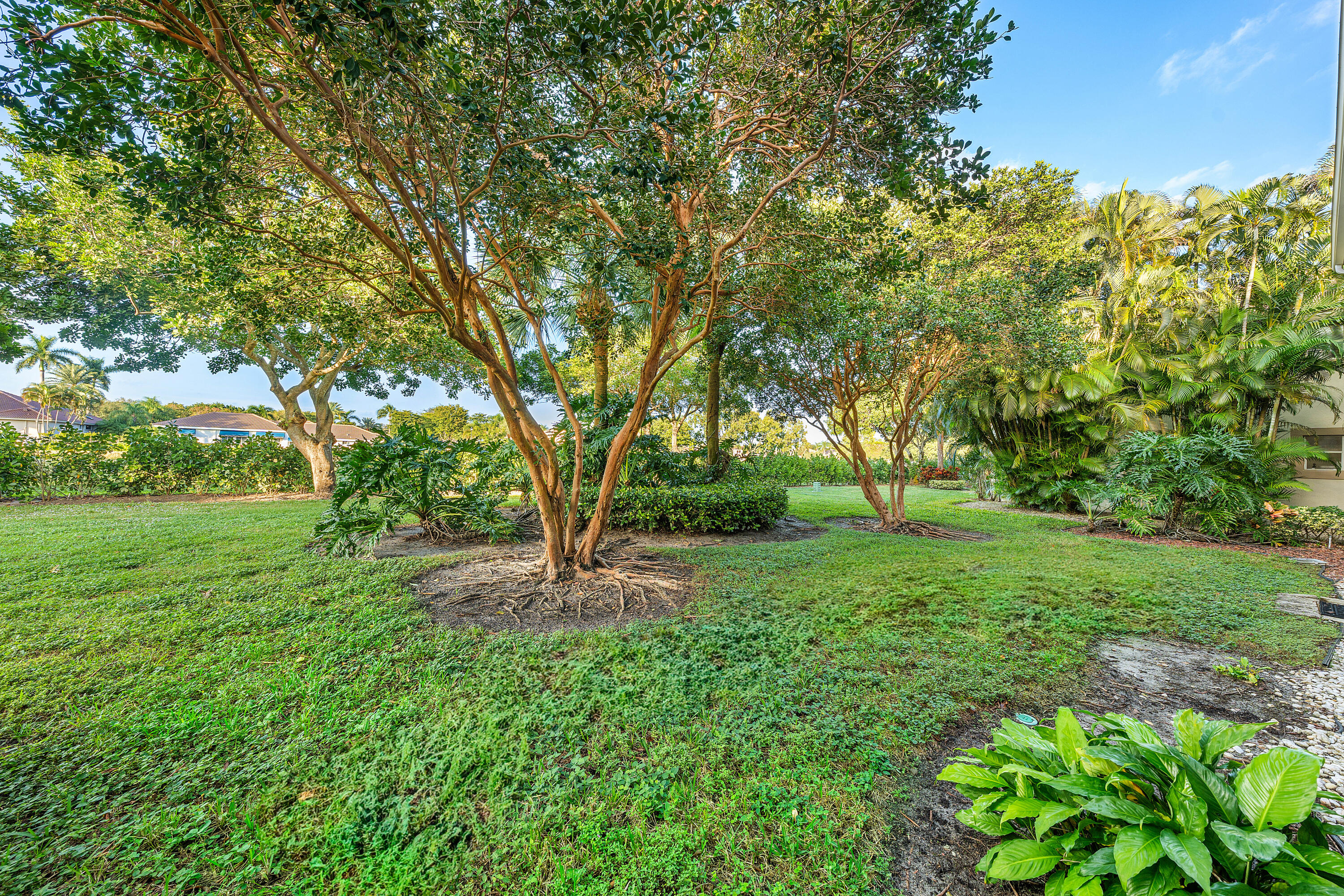 6229 Graycliff Drive, Unit A Boca Raton, FL 33496 - Photo 28 of 33 a view of backyard with green space