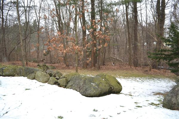 370 North Emerson Road Lexington, MA 02420 - Photo 27 of 30 a view of a yard with large trees