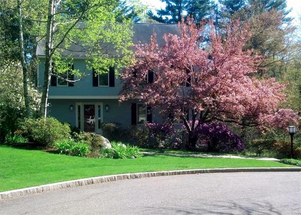 370 North Emerson Road Lexington, MA 02420 - Photo 29 of 30 a front view of house with yard and green space