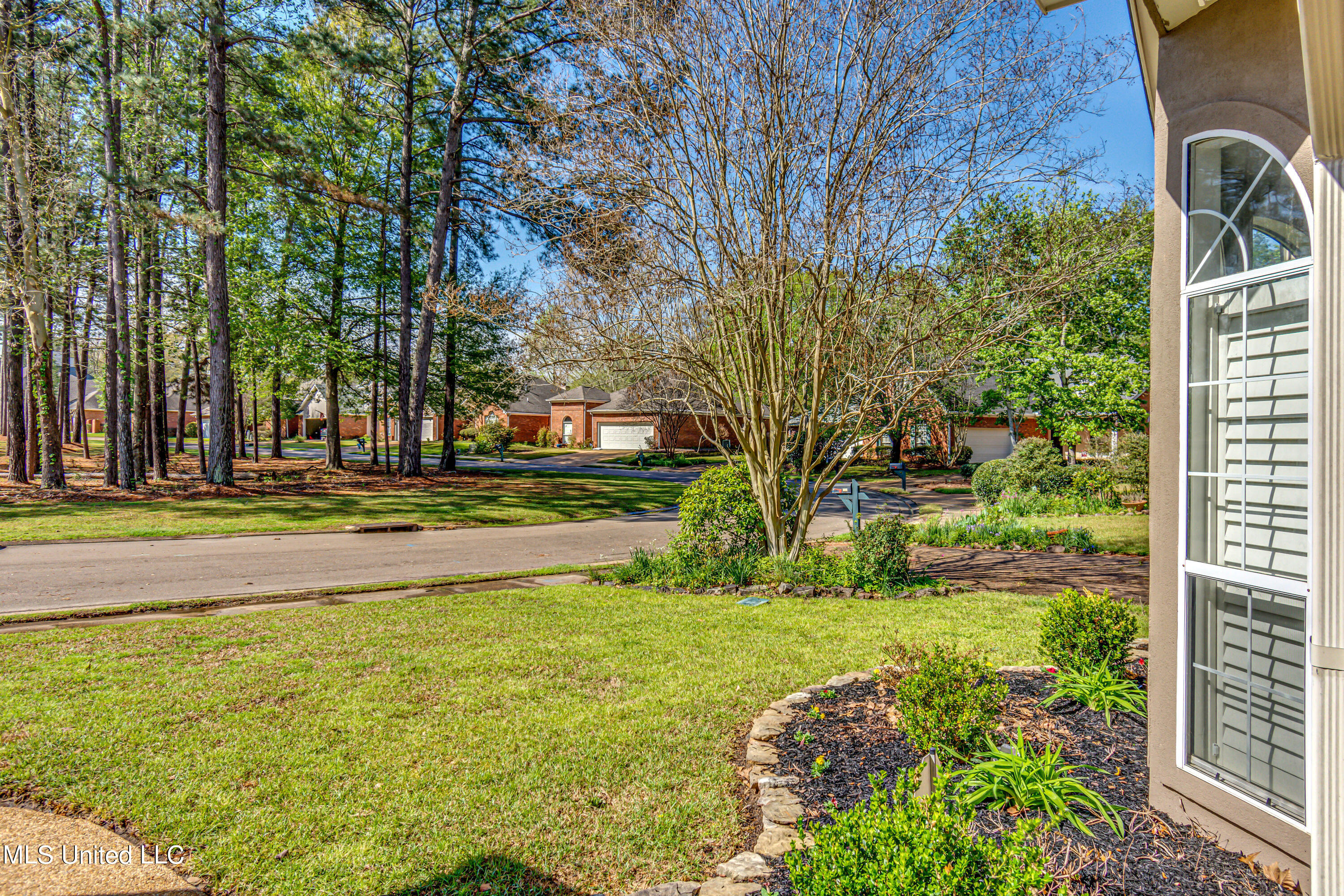 119 Rhapsody Circle Brandon, MS 39047 - Photo 3 of 39 119 rhapsody cir--53