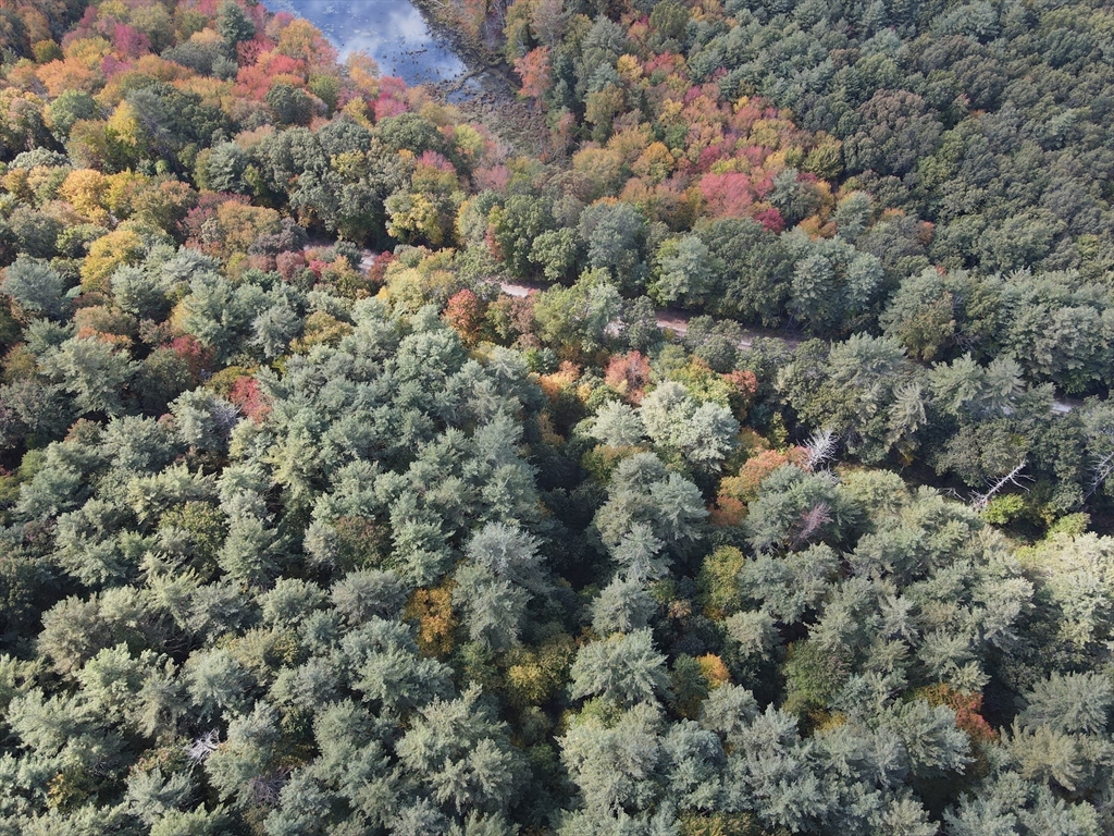 Lot 54 Prospect Hill Road Harvard, MA 01451 - Photo 4 of 5 a view of a forest with a houses