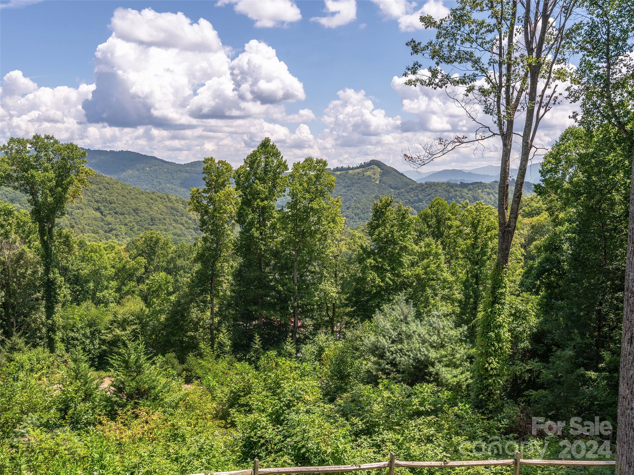 178 Ladderback Ridge Waynesville, NC 28785 - Photo 4 of 48 Gallery Image 4