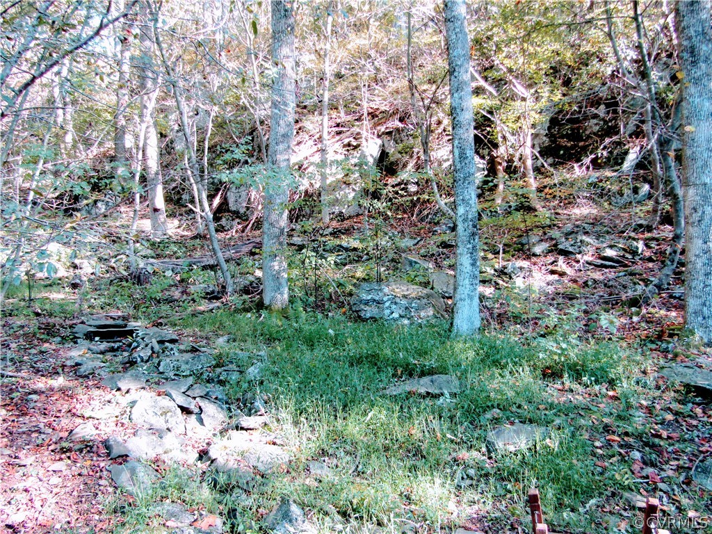 239 Hickory Spring Road Roseland, VA 22967 - Photo 22 of 22 Gallery Image 22