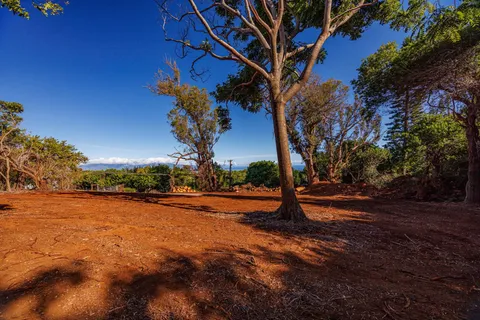a view of a backyard of a house