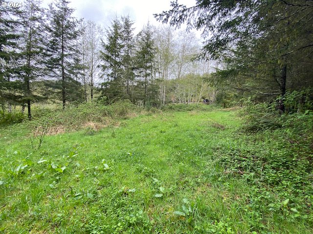 Trask River Road, Unit 109 Tillamook, OR 97141 - Photo 11 of 21 Gallery Image 11