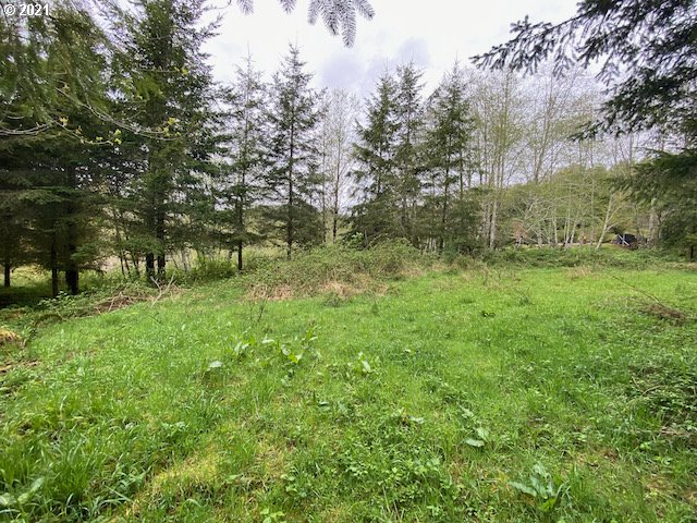Trask River Road, Unit 109 Tillamook, OR 97141 - Photo 12 of 21 Gallery Image 12