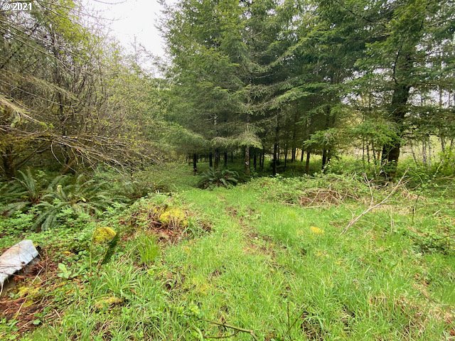 Trask River Road, Unit 109 Tillamook, OR 97141 - Photo 13 of 21 Gallery Image 13