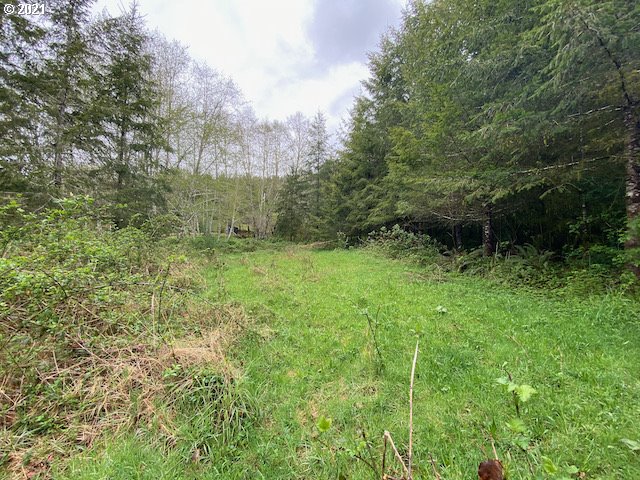 Trask River Road, Unit 109 Tillamook, OR 97141 - Photo 14 of 21 Gallery Image 14