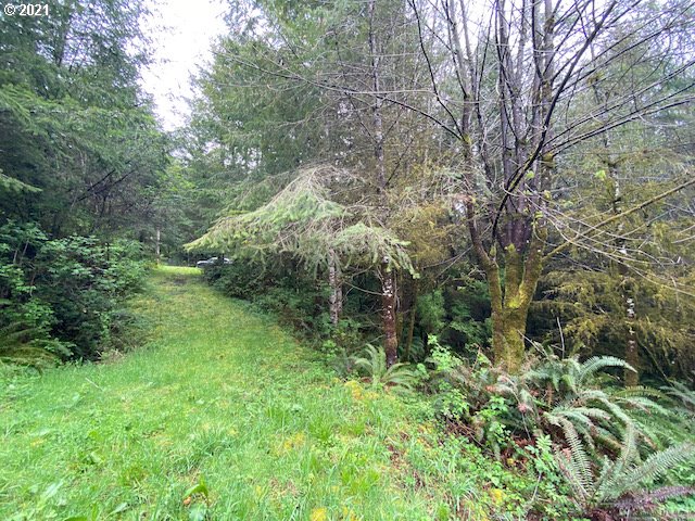 Trask River Road, Unit 109 Tillamook, OR 97141 - Photo 15 of 21 Gallery Image 15