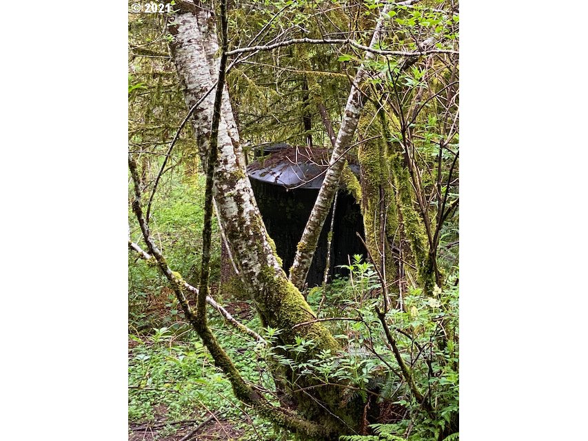 Trask River Road, Unit 109 Tillamook, OR 97141 - Photo 16 of 21 Gallery Image 16