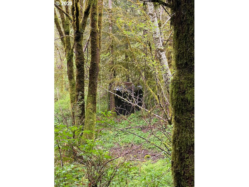 Trask River Road, Unit 109 Tillamook, OR 97141 - Photo 17 of 21 Gallery Image 17
