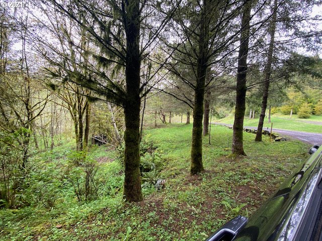 Trask River Road, Unit 109 Tillamook, OR 97141 - Photo 18 of 21 Gallery Image 18