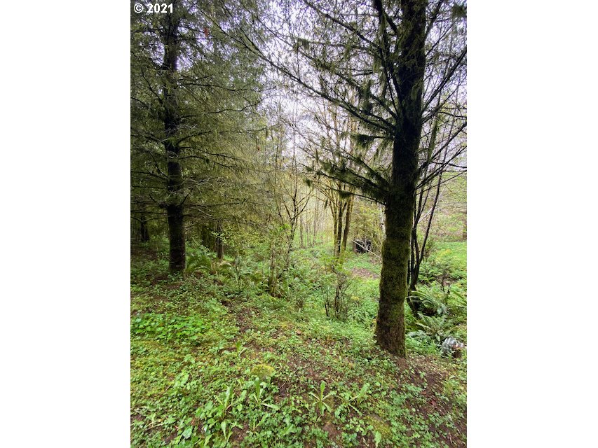Trask River Road, Unit 109 Tillamook, OR 97141 - Photo 19 of 21 Gallery Image 19