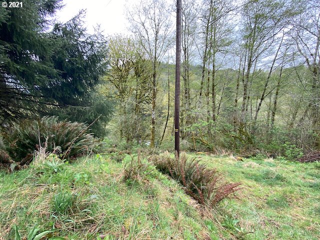 Trask River Road, Unit 109 Tillamook, OR 97141 - Photo 20 of 21 Gallery Image 20