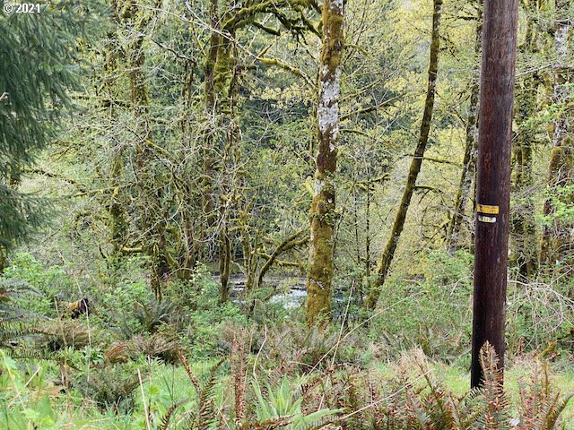 Trask River Road, Unit 109 Tillamook, OR 97141 - Photo 21 of 21 Gallery Image 21