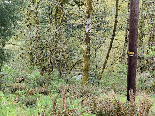 Trask River Road, Unit 109 Tillamook, OR 97141 - Photo 4 of 21 Gallery Image 4