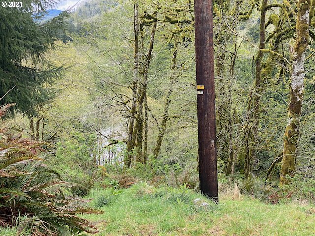 Trask River Road, Unit 109 Tillamook, OR 97141 - Photo 5 of 21 Gallery Image 5
