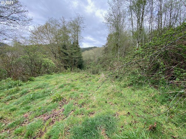 Trask River Road, Unit 109 Tillamook, OR 97141 - Photo 6 of 21 Gallery Image 6