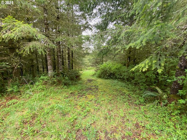 Trask River Road, Unit 109 Tillamook, OR 97141 - Photo 7 of 21 Gallery Image 7
