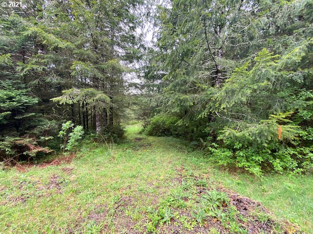 Trask River Road, Unit 109 Tillamook, OR 97141 - Photo 8 of 21 Gallery Image 8