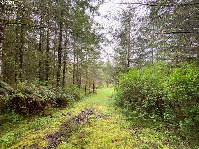 Trask River Road, Unit 109 Tillamook, OR 97141 - Photo 9 of 21 Gallery Image 9