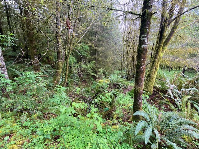 Trask River Road, Unit 109 Tillamook, OR 97141 - Photo 10 of 21 Gallery Image 10
