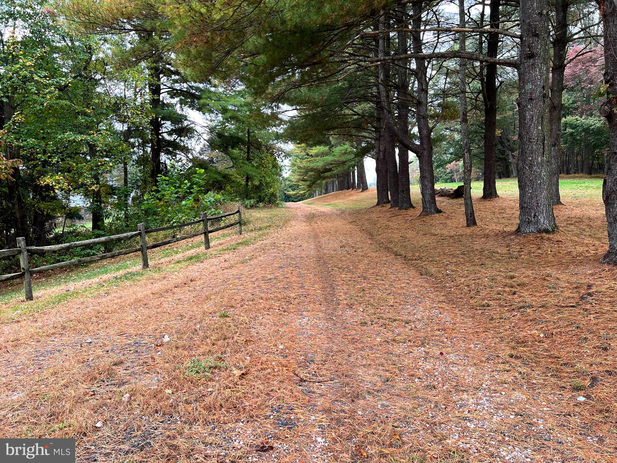 4992 Millers Station Road Hampstead, MD 21074 - Photo 2 of 24 a view of outdoor space with deck and trees