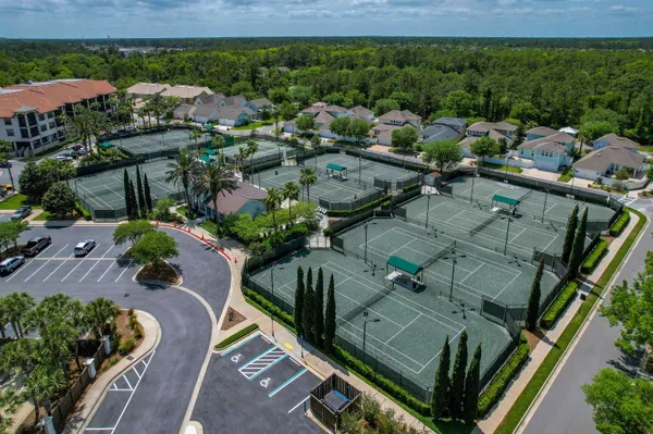 a view of a street with palm trees