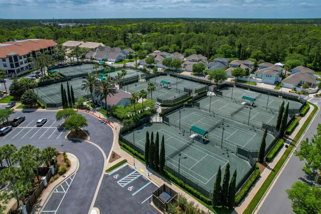 a view of a street with palm trees