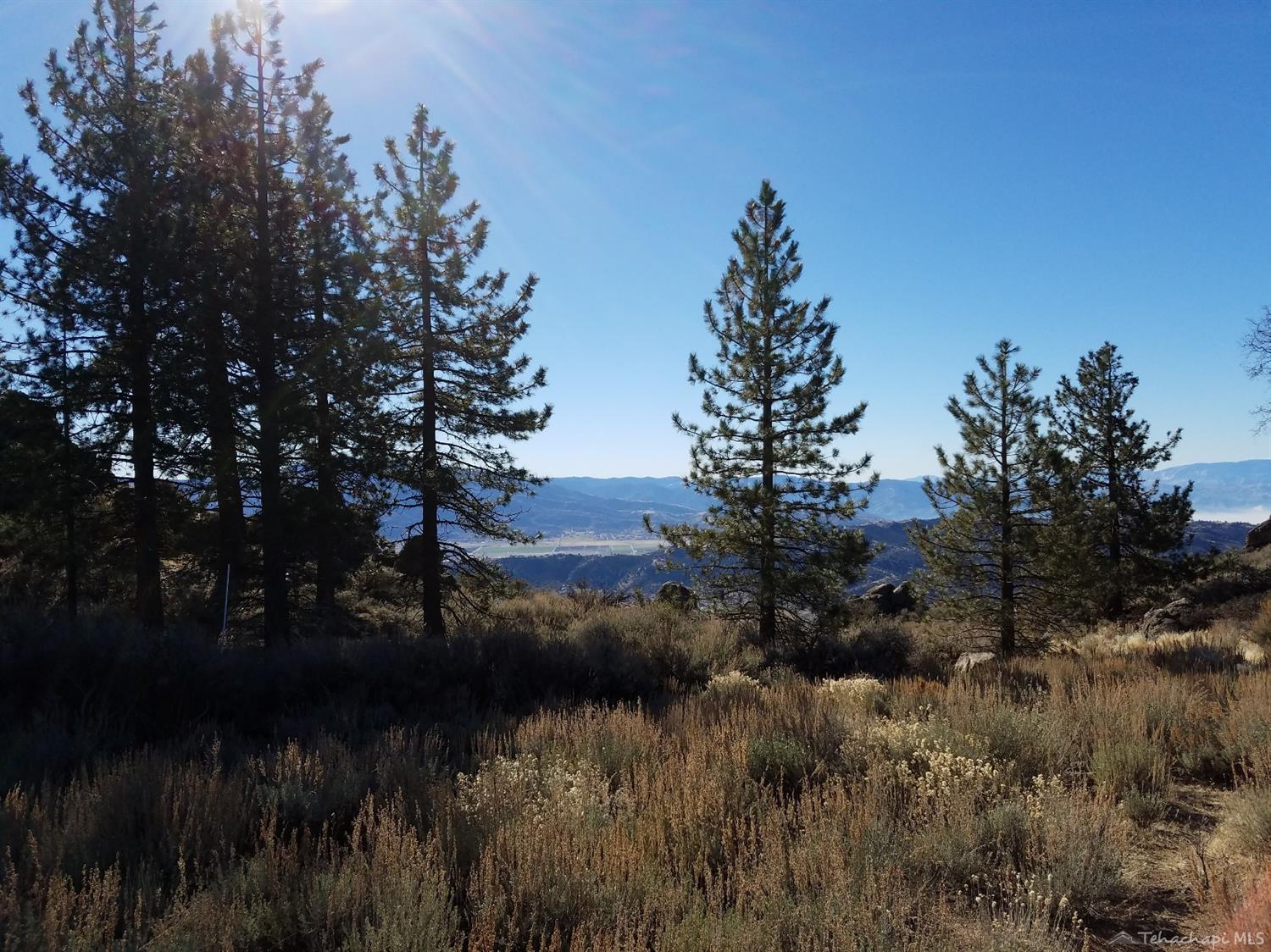 0 Stirrup Way Tehachapi, CA 93561 - Photo 9 of 16 Gallery Image 9