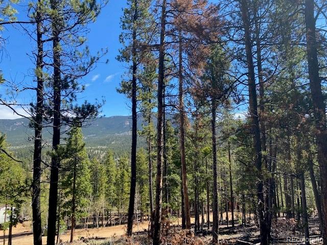 Singer Drive Bailey, CO 80421 - Photo 1 of 18