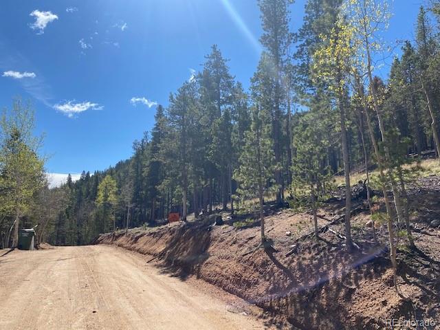 Singer Drive Bailey, CO 80421 - Photo 15 of 18