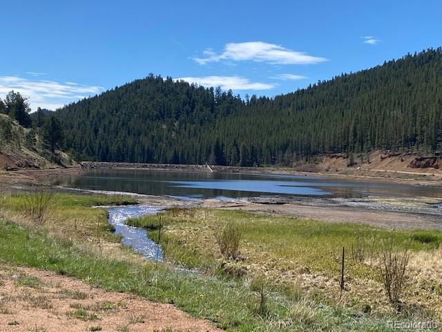 Singer Drive Bailey, CO 80421 - Photo 16 of 18