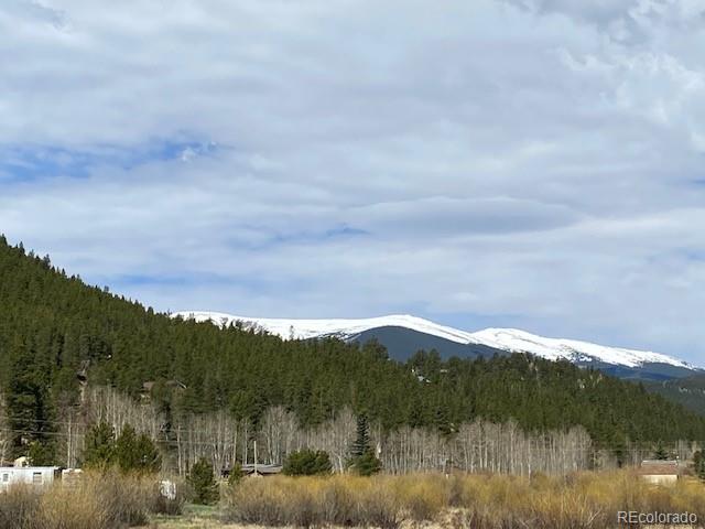 Singer Drive Bailey, CO 80421 - Photo 17 of 18