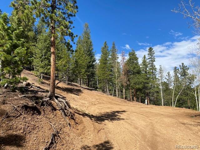 Singer Drive Bailey, CO 80421 - Photo 2 of 18