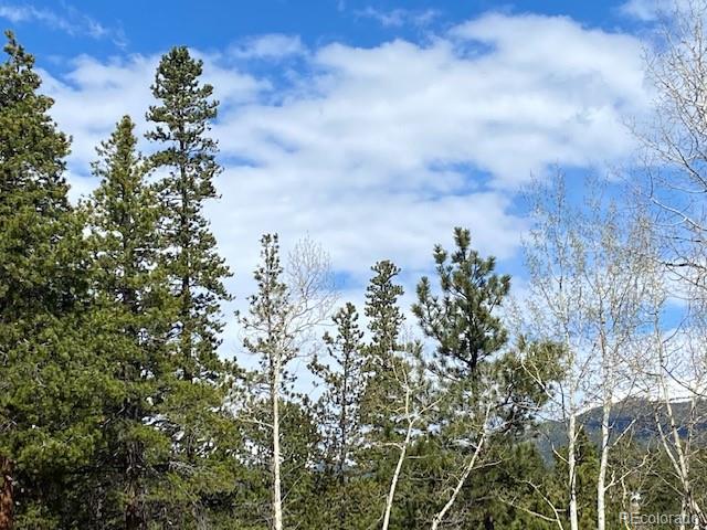 Singer Drive Bailey, CO 80421 - Photo 3 of 18