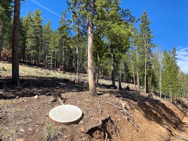 Singer Drive Bailey, CO 80421 - Photo 4 of 18