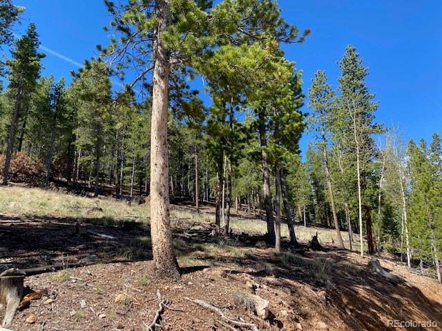 Singer Drive Bailey, CO 80421 - Photo 6 of 18